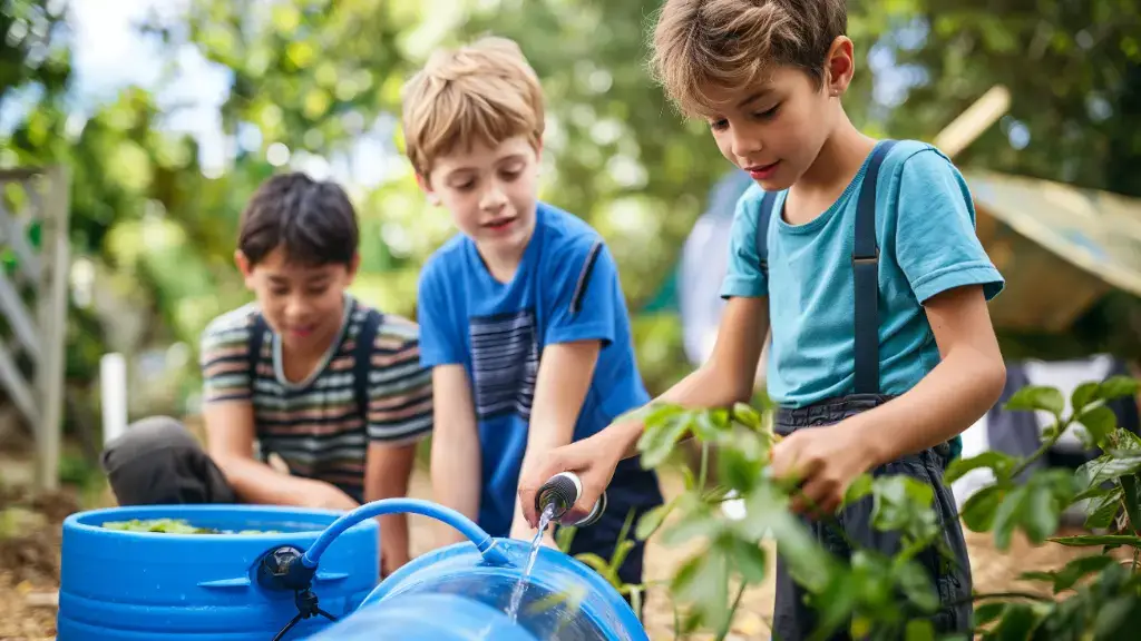 Build a Rainwater Harvesting System: Engineering for a Greener Future