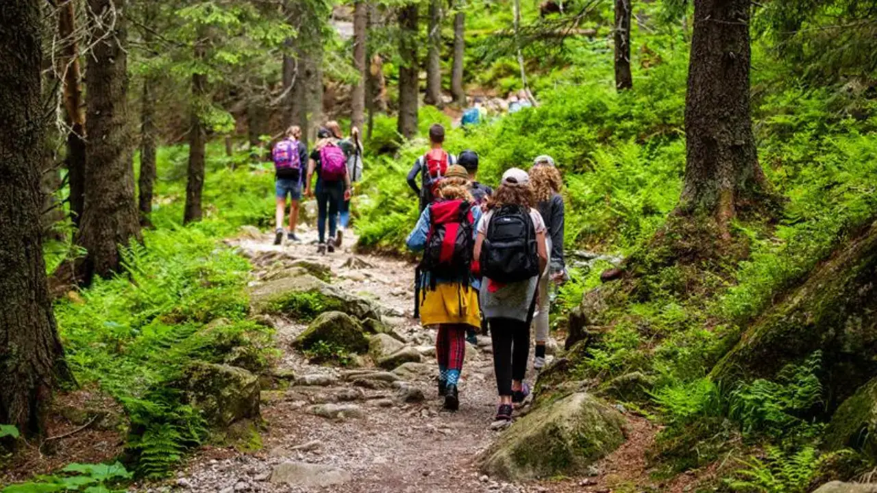 Nature‑Based Learning