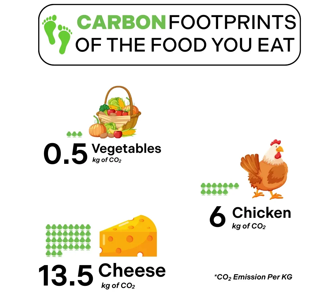 Carbon Footprint
