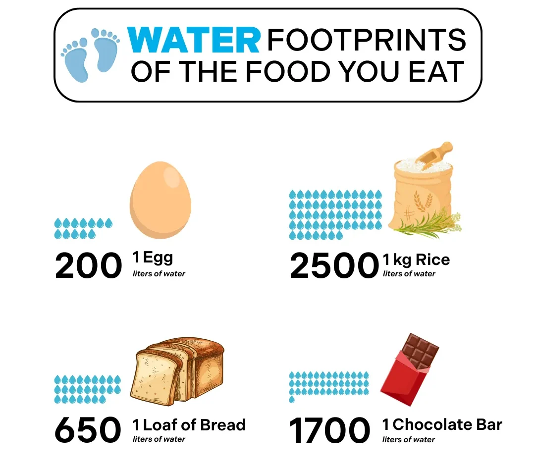 The True Cost of Food: Water, Carbon, and Waste