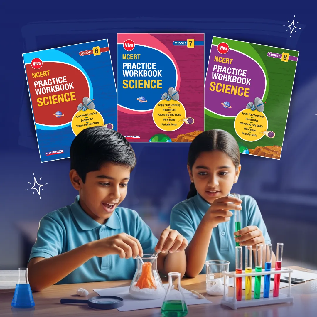 NCERT Curiosity Workbook for Classes 6–8